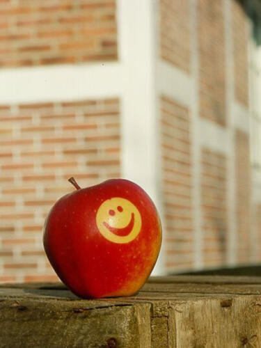 food_engraving_apples