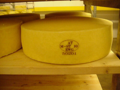 food_cheese_marking