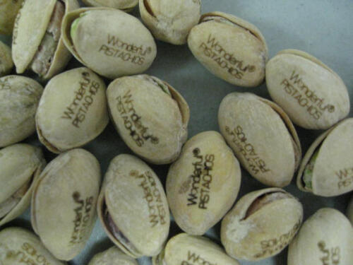 food_pistachios_engraved